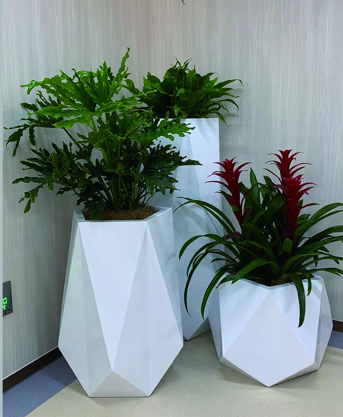 室內(nèi)租賃組合花箱